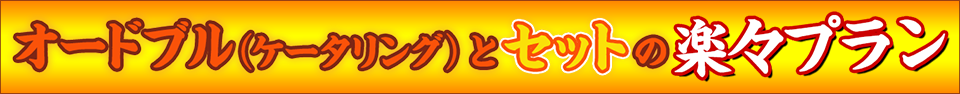 オードブル(ケータリング)とセットの楽々プラン!